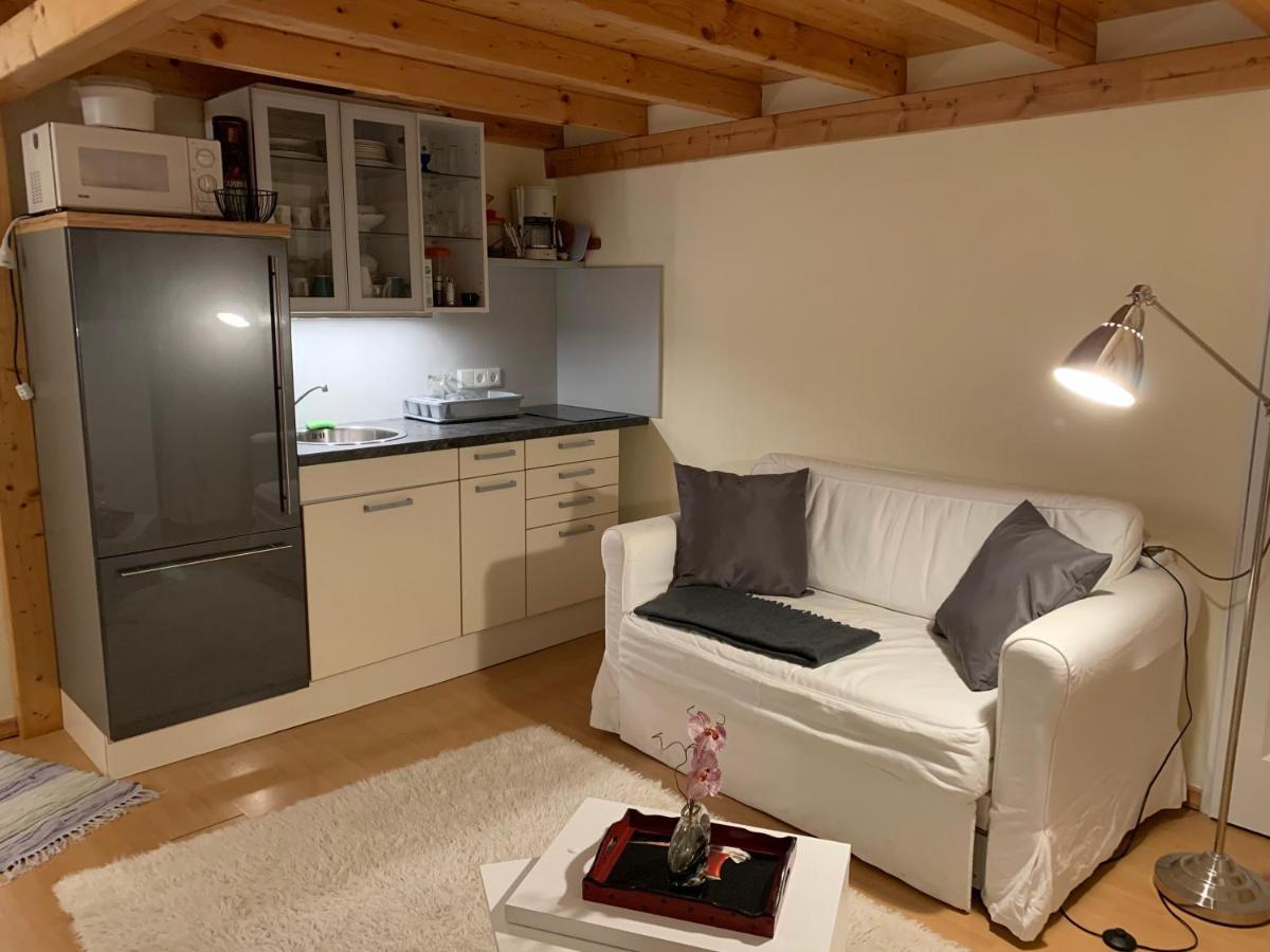 Executive Apartement Gastein バードガシュタイン エクステリア 写真